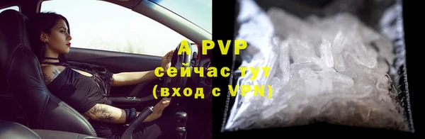 прущие крисы Баксан