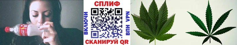 Бошки Шишки ГИДРОПОН Вилюйск